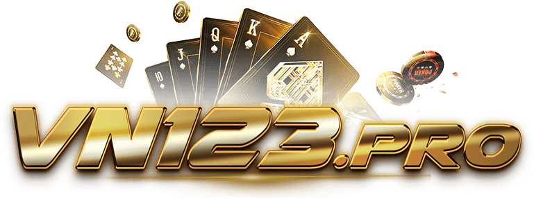 VN123 logo